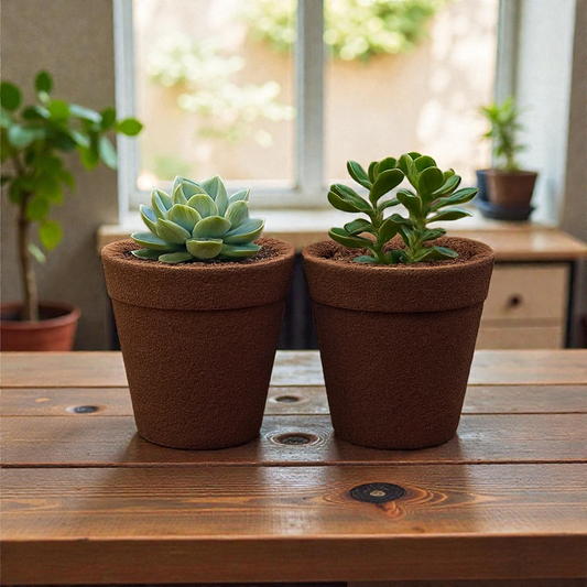 Pine Needle Eco Planters – Set of 2 (Small)